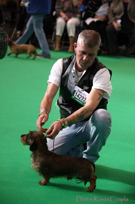 Crufts2011_2 699.jpg